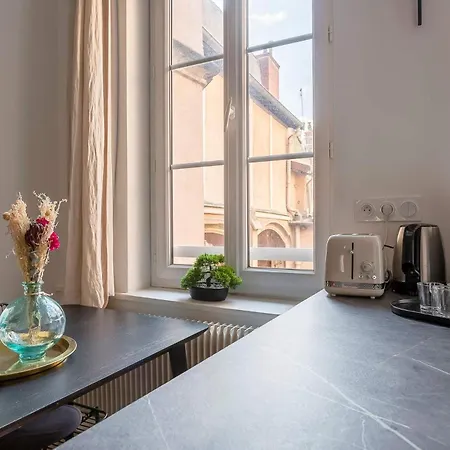 Neyret - Furnished - Downtown